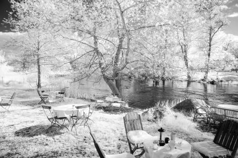 Winter garden Stock Photos