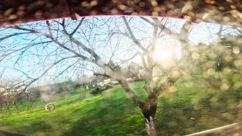 Winter Garden Through Bird Feeder Window, Sunny December Day, Latvia Stock Footage 340981596