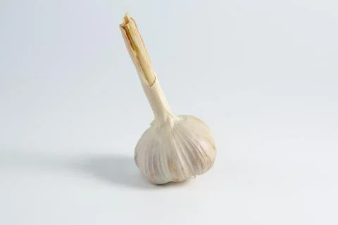 Winter garlic on white background. Stock Photos