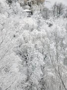 Winter gazebo Stock Photos