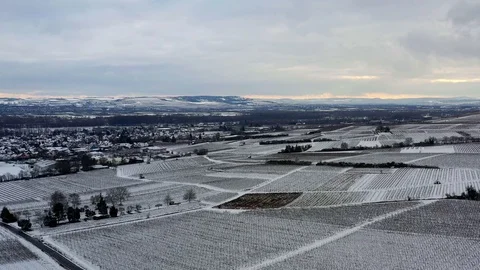 WInter in German vineyards Video stock 102730512