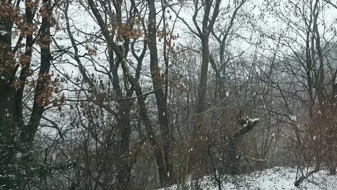 Winter in Germany Stock Footage 102628772