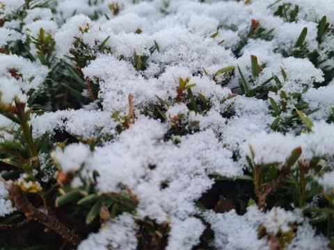 Winter in germany Stock Photos
