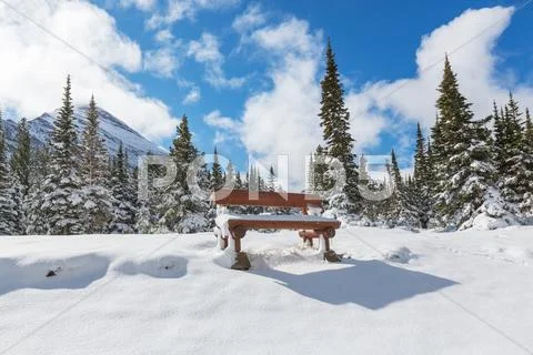 Winter in Glacier Park Stock Photos