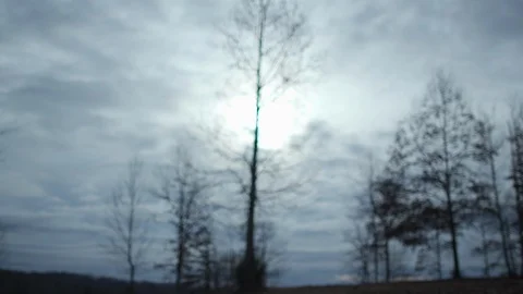 Winter Gloomy Forest - 5 스톡 동영상 112664444
