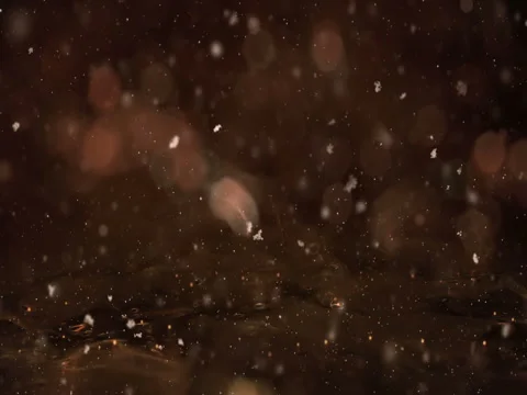 Winter Golden Motion background lights, snow falling on ice defocused bokeh loop Stock Footage 82432712