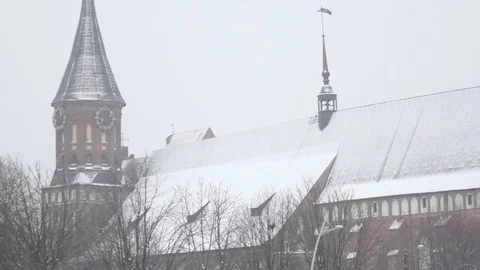 Winter Gothic castle Stock Footage 84805010