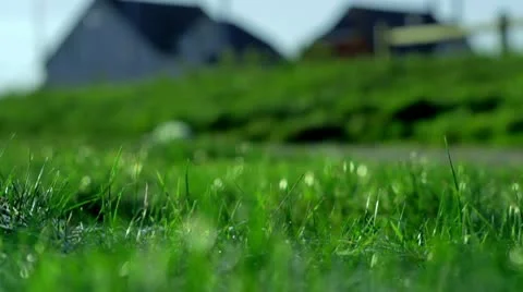 Winter grass 스톡 동영상 10711594