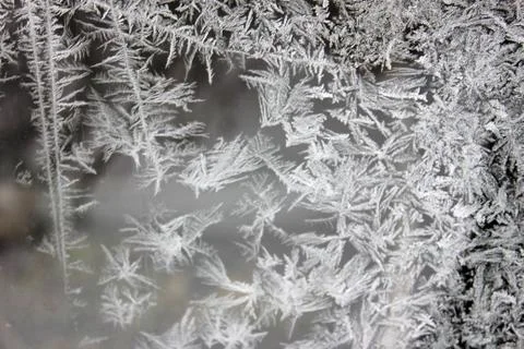 Winter gray frosty pattern on the windowpane Stock Photos