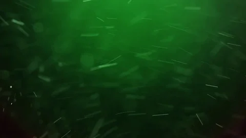 Winter green background, snowing animation Stock Footage 80688691