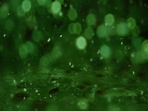 Winter Green Motion background lights, snow falling on ice defocused bokeh loop Stock Footage 82433722