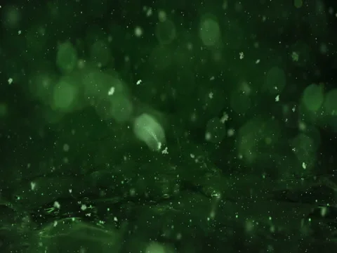 Winter Green Motion background lights, snow falling on ice defocused bokeh loop Stock Footage 82434584