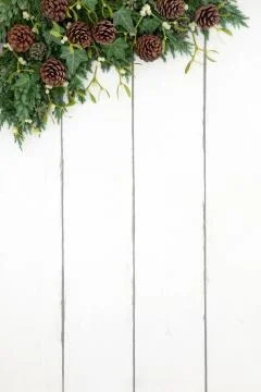 Winter Greenery Border Stock Photos