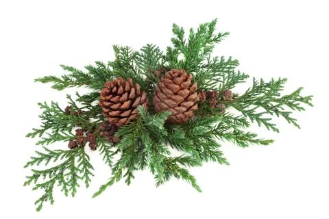 Winter Greenery Decoration Stock Photos