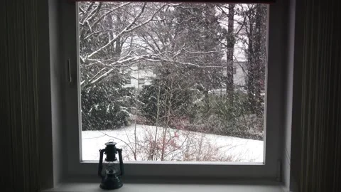Winter in Hamburg 12.12.2023 Stock Footage 291812331