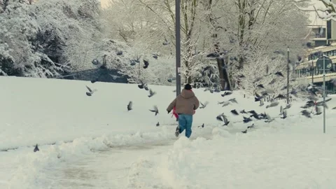 Winter in Hamburg Stock Footage 325745465