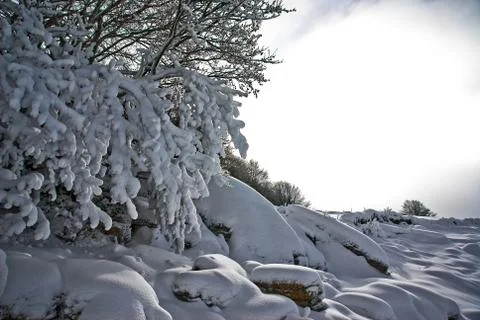 Winter has covered everything with white snow Stock Photos