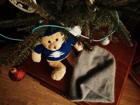 Winter hat under the tree Stock-Fotos