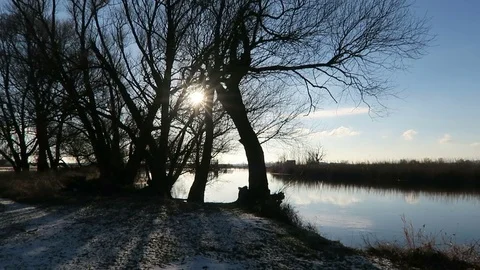 Winter at Havel river landscape. willow trees Video stock 71625537