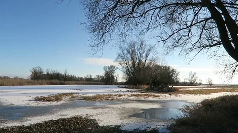 Winter at Havel river landscape. willow trees Video stock 71626646
