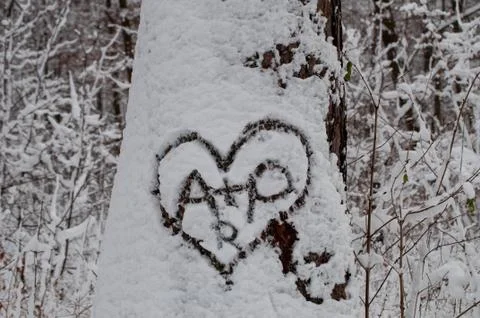 Winter heart Stock Photos