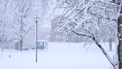 WINTER HEAVY SNOW COVERED TREES AND LIGHT POLE 60FPS Stock Footage 302502403