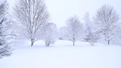 WINTER HEAVY SNOW COVERED TREES WIDE SHOT 60FPS Stock Footage 302502404