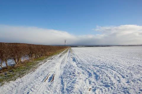 Winter hedgerow Stock Photos