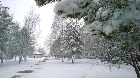 Winter is here. Heavy snowfall in city park. White snow covered ground, pine Stock Photos
