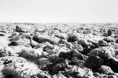 Winter is here Stock Photos