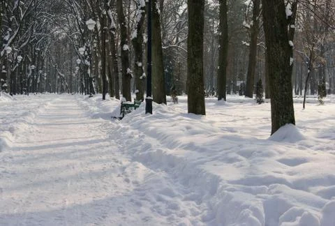 Winter is here Foto stock