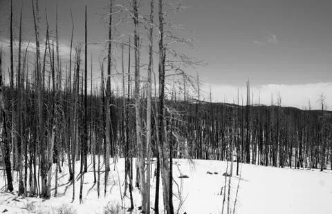 Winter is here Stock Photos