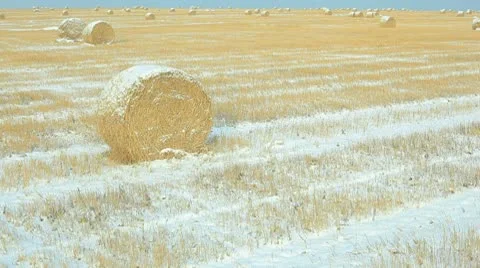 Winter heystacks Stock Footage 8924459