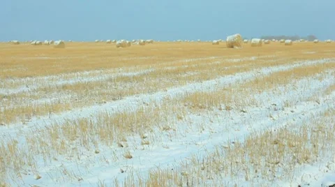Winter heystacks Stock Footage 8924460