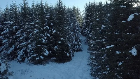 Winter in the highlands of Scotland Stock Footage 102265076