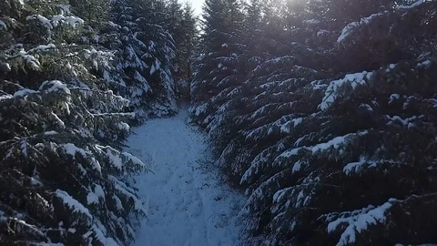 Winter in the highlands of Scotland Stock Footage 102265237