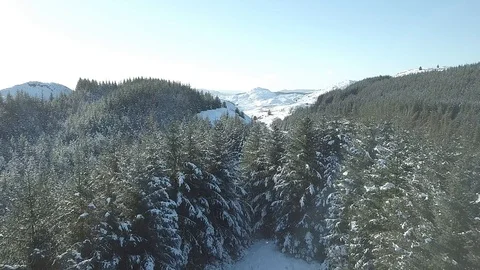 Winter in the highlands of Scotland Stock Footage 102265295