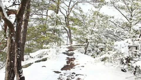 Winter hike Stock Footage 10810249