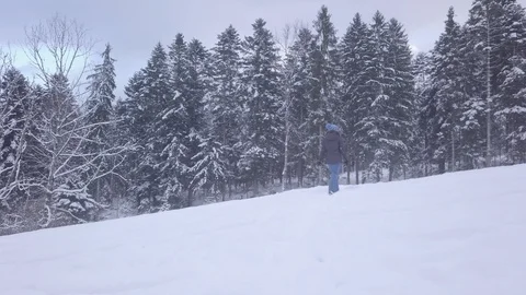 A Winter Hike  Stockbeeldmateriaal 88708370