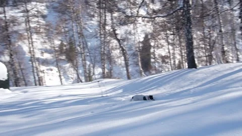 A winter hike in the mountains where a small dog happily runs Stock Footage 320792591