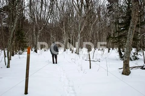 Winter hike Stock Photos