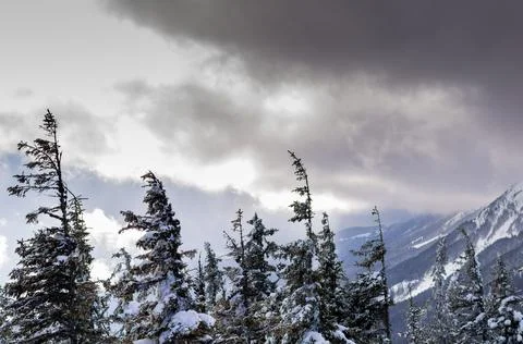 Winter hike 스톡 사진