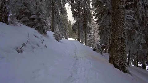 Winter hiking Stock Footage 83239557