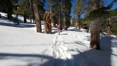 Winter Hiking Video stock 204939447