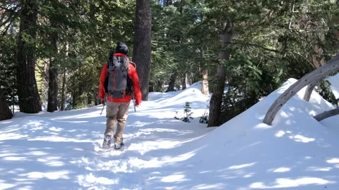 Winter Hiking Video stock 205004657