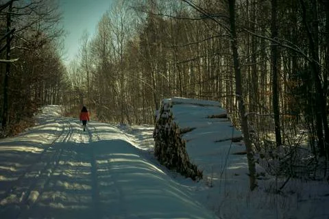 Winter hiking in the forest Foto stock