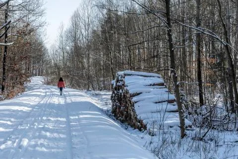 Winter hiking in the forest Stock Photos