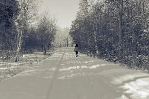 Winter hiking in the forest Stock Photos