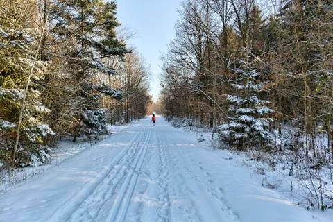 Winter hiking in the forest Stock Photos