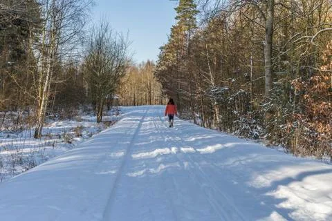 Winter hiking in the forest Foto stock